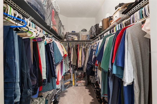 spacious closet featuring carpet