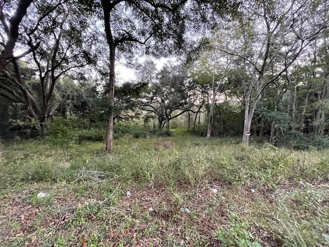 TBD SE 128th St, Belleview FL, 34420 land for sale