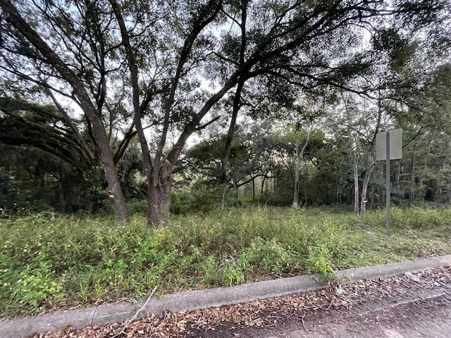 Listing photo 3 for TBD SE 128th St, Belleview FL 34420