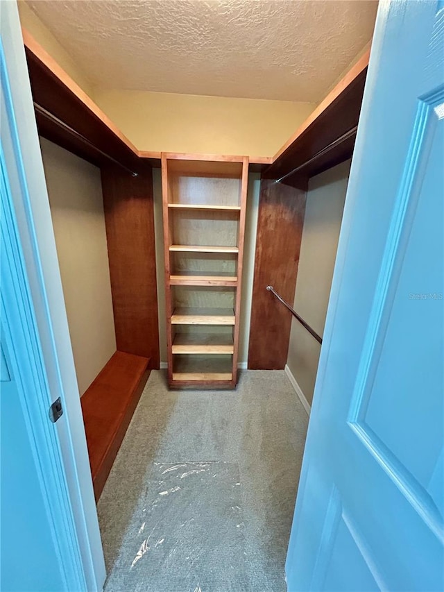 spacious closet with carpet floors