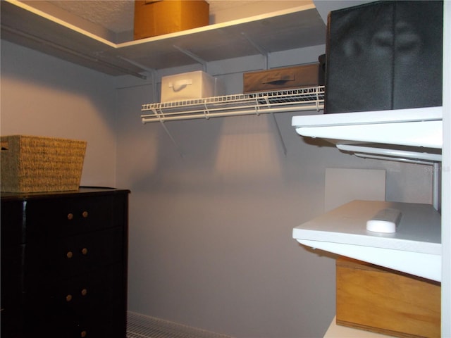 view of walk in closet