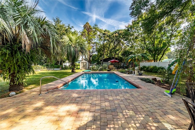 view of swimming pool featuring a patio, a storage unit, and a lawn