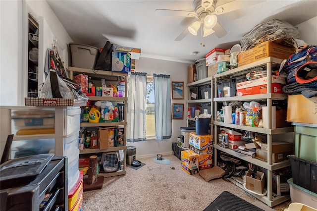 storage room featuring ceiling fan