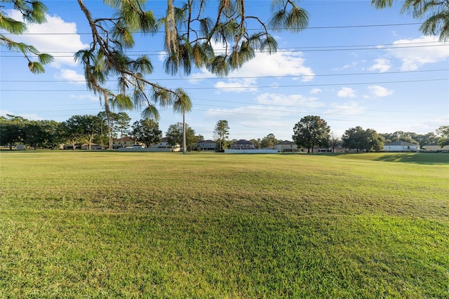 view of yard