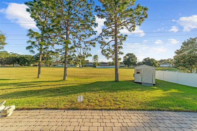 view of yard with a storage unit