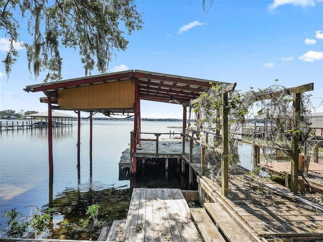 dock area with a water view