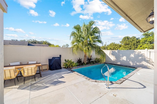 view of pool featuring a patio