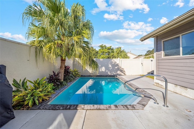 view of swimming pool with a patio area