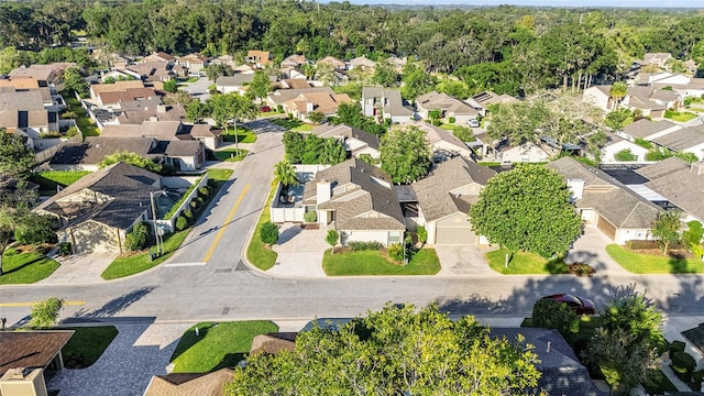 bird's eye view