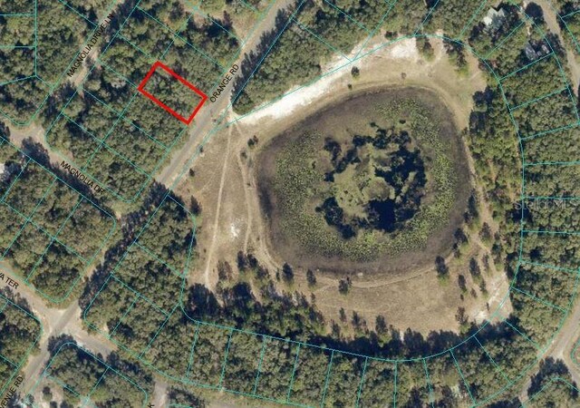 SE 141st Ave, Ocklawaha FL, 32179 land for sale