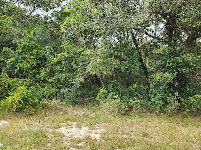 Listing photo 3 for SE 141st Ave, Ocklawaha FL 32179