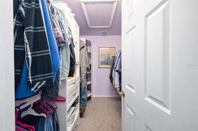 walk in closet featuring light colored carpet