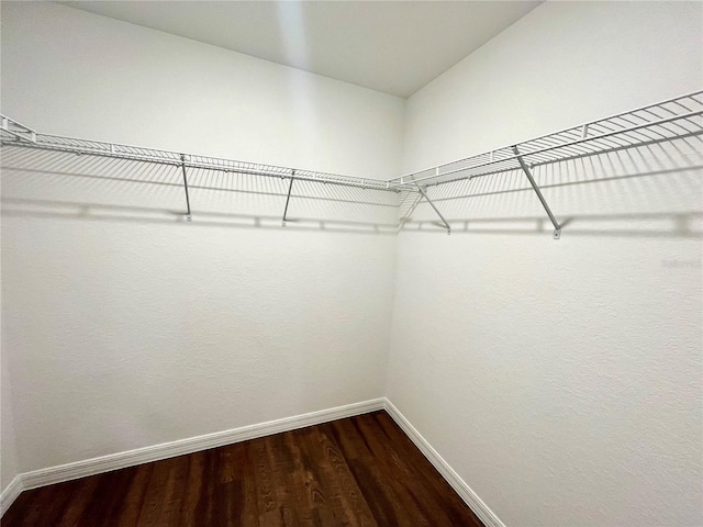 spacious closet featuring dark wood finished floors