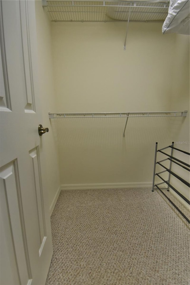 spacious closet with light colored carpet