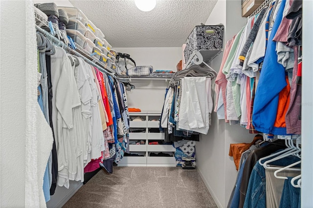 walk in closet featuring carpet