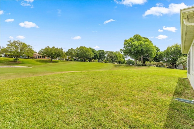 view of yard