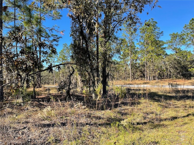 LOT1 SE 131st Ave, Dunnellon FL, 34431 land for sale