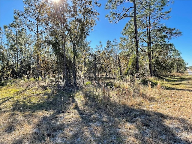 Listing photo 2 for LOT1 SE 131st Ave, Dunnellon FL 34431