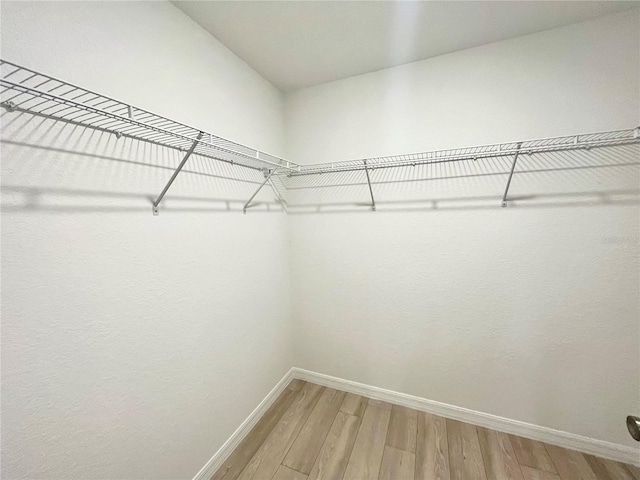 walk in closet featuring wood finished floors