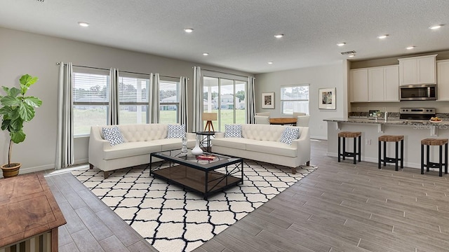 living room featuring light hardwood / wood-style floors and a textured ceiling