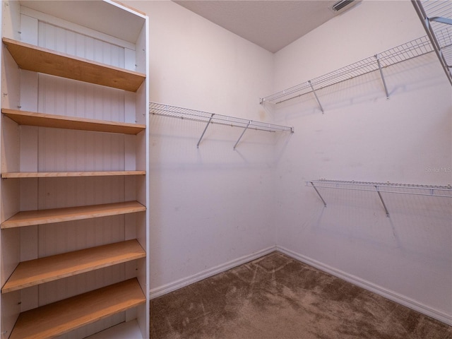 12805 SW 64th Ln, Ocala, FL 34481 - spacious closet featuring carpet floors