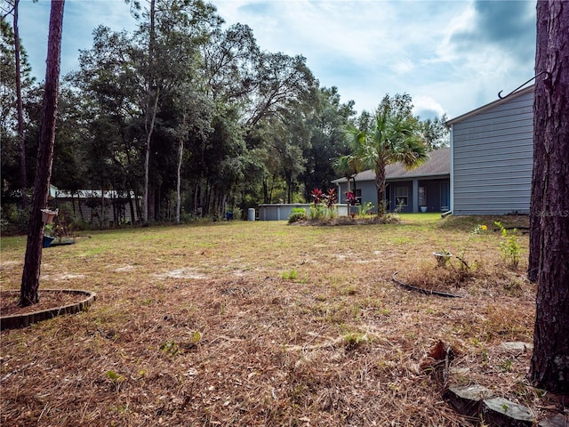 12805 SW 64th Ln, Ocala, FL 34481 - view of yard