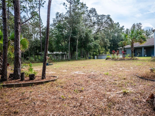 12805 SW 64th Ln, Ocala, FL 34481 - view of yard