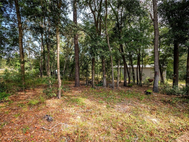 12805 SW 64th Ln, Ocala, FL 34481 - view of yard