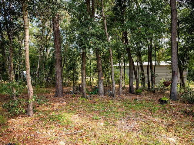 12805 SW 64th Ln, Ocala, FL 34481 - photo 64