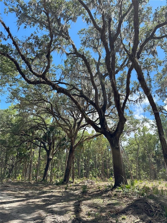 84AC NW 193rd St, Micanopy FL, 32667 land for sale