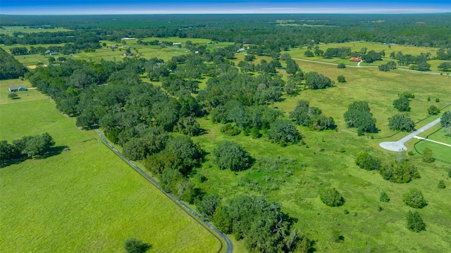 TBD NW 154th Avenue Rd, Morriston, FL 32668 - photo 8