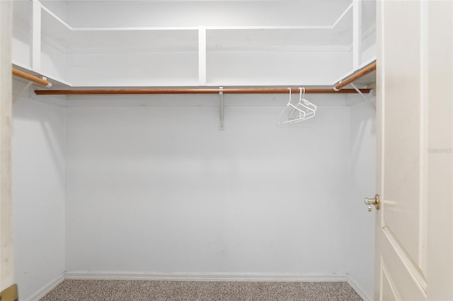 walk in closet featuring carpet floors