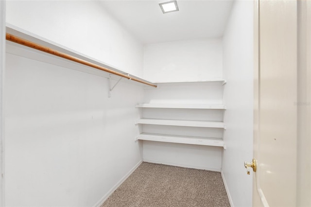 spacious closet with light colored carpet