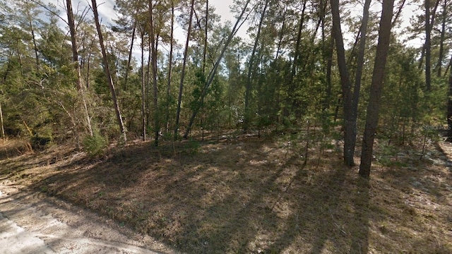 Listing photo 3 for LOT11 SE 8th St, Williston FL 32696