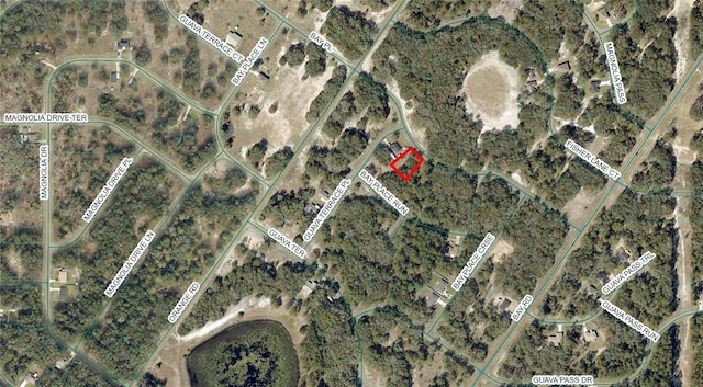 Listing photo 2 for TBD Bay Place, Ocklawaha FL 32179