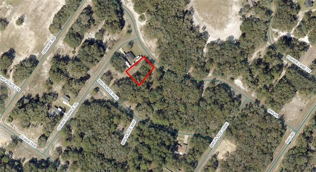 Listing photo 3 for TBD Bay Place, Ocklawaha FL 32179