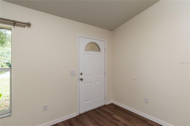 foyer entrance featuring dark hardwood / wood-style flooring