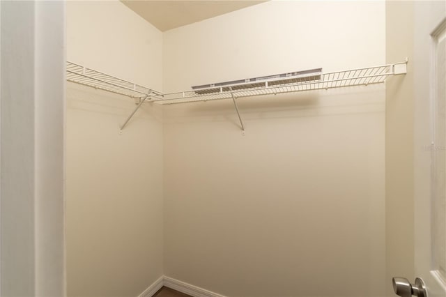 view of walk in closet