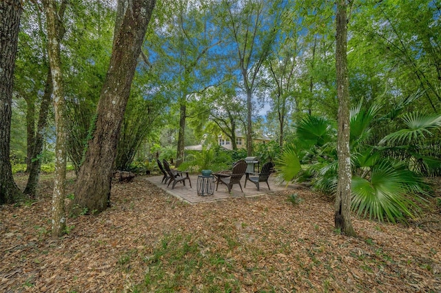 view of yard with a patio area