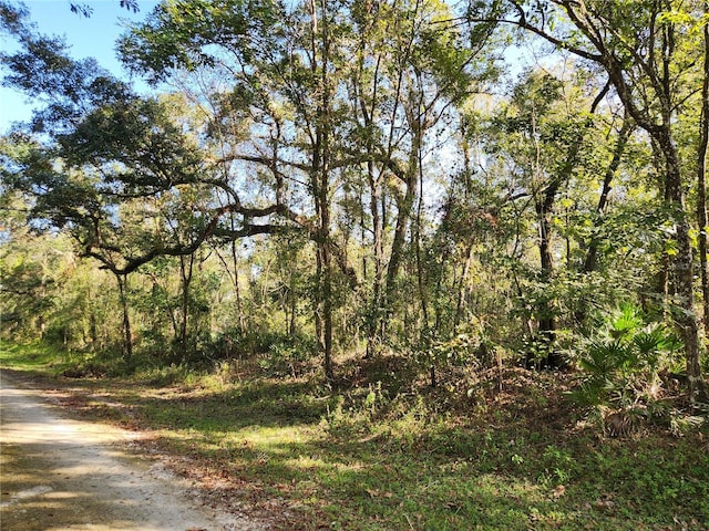 Table Rock Dr, Webster FL, 33597 land for sale