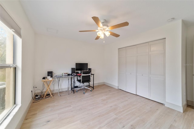 office featuring light hardwood / wood-style flooring and ceiling fan