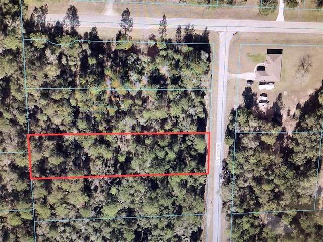 0 SW 209th Ave, Dunnellon FL, 34432 land for sale