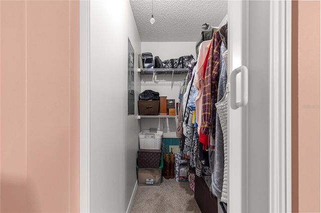 spacious closet with carpet