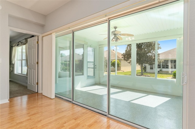 entryway with a wealth of natural light, hardwood / wood-style flooring, and ceiling fan