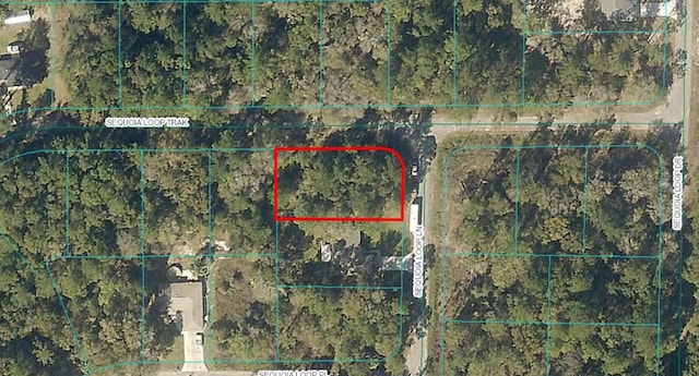 00 Sequoia Loop Ln, Ocklawaha FL, 32179 land for sale