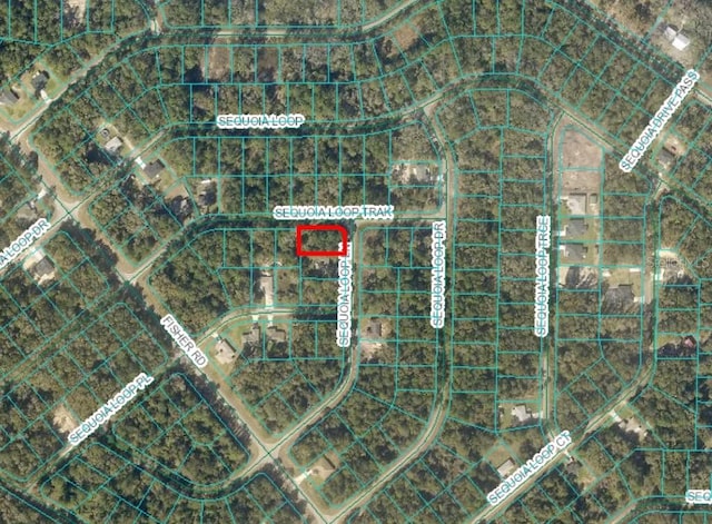 Listing photo 2 for 00 Sequoia Loop Ln, Ocklawaha FL 32179