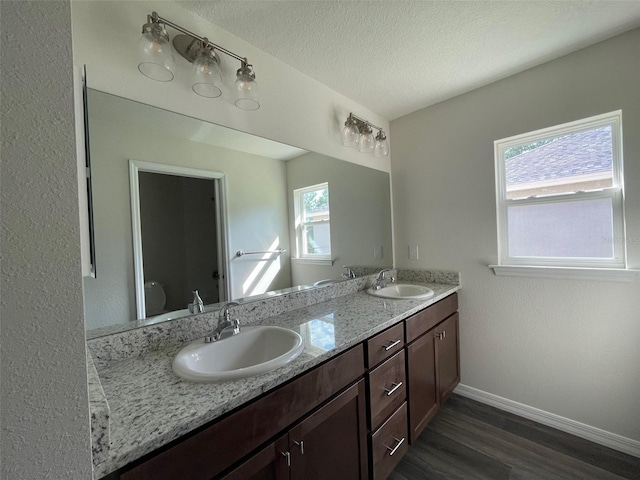 bathroom with vanity, wood-type flooring, a textured ceiling, and plenty of natural light