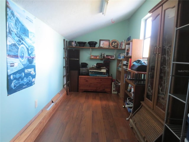 interior space featuring dark wood-type flooring and vaulted ceiling