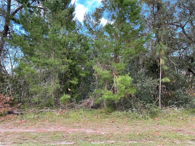 11136 Liberto Rd, Weeki Wachee FL, 34614 land for sale