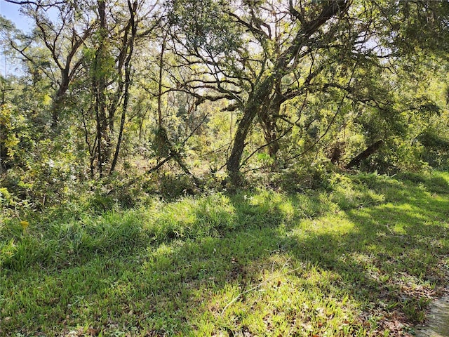 Table Rock Dr, Webster FL, 33597 land for sale